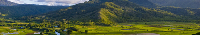 bpi_picture_home_page